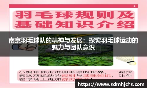 南京羽毛球队的精神与发展：探索羽毛球运动的魅力与团队意识